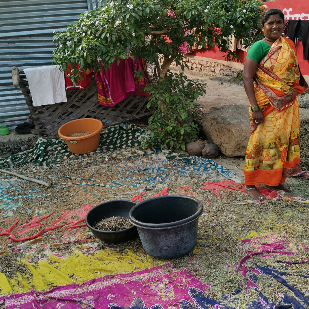 スパイス定期便|お寺ごはんと有機スパイス|簡単レシピ付き【Amrita】