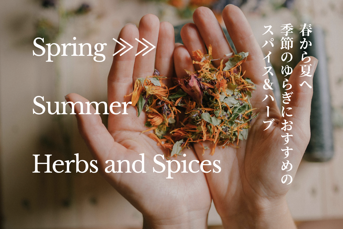 【春夏へ】 スパイス＆ハーブ