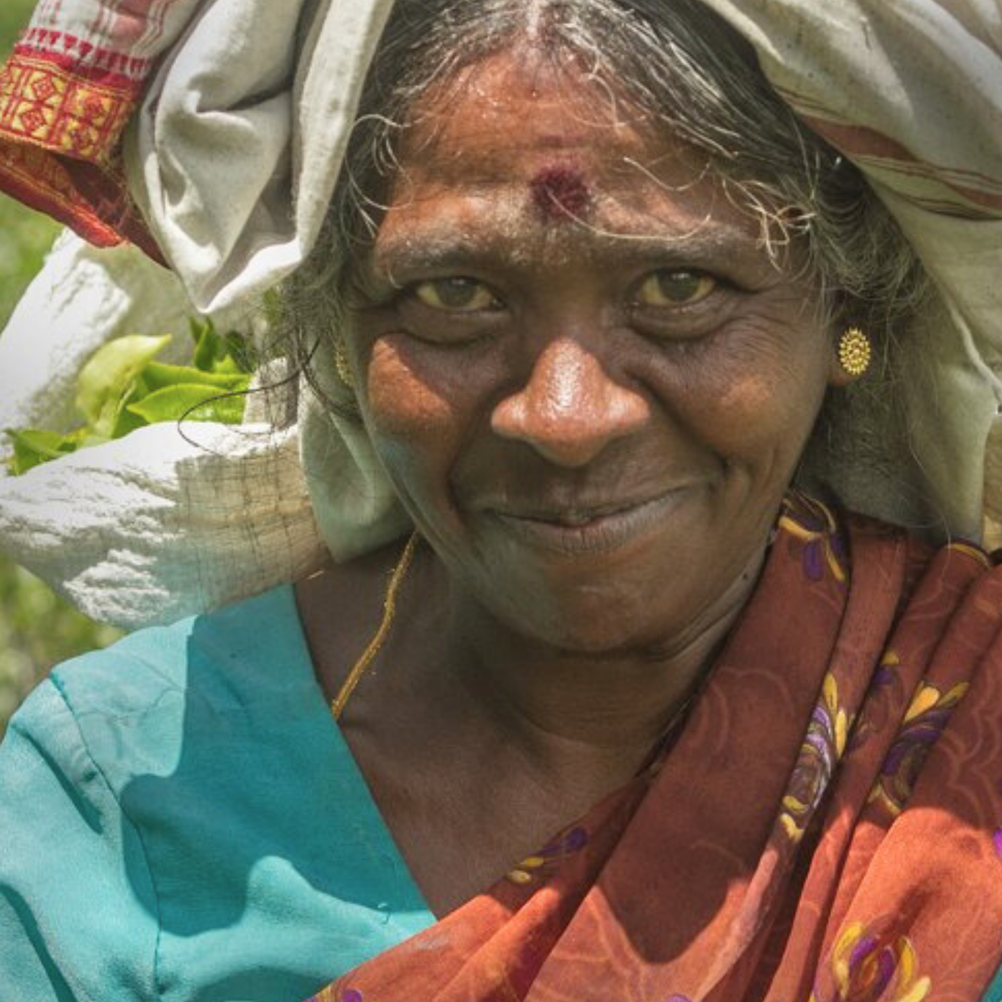 【プチギフト】有機アールグレイ紅茶（スリランカ・ウバ／2ティーバッグ）｜Amrita Zen Life