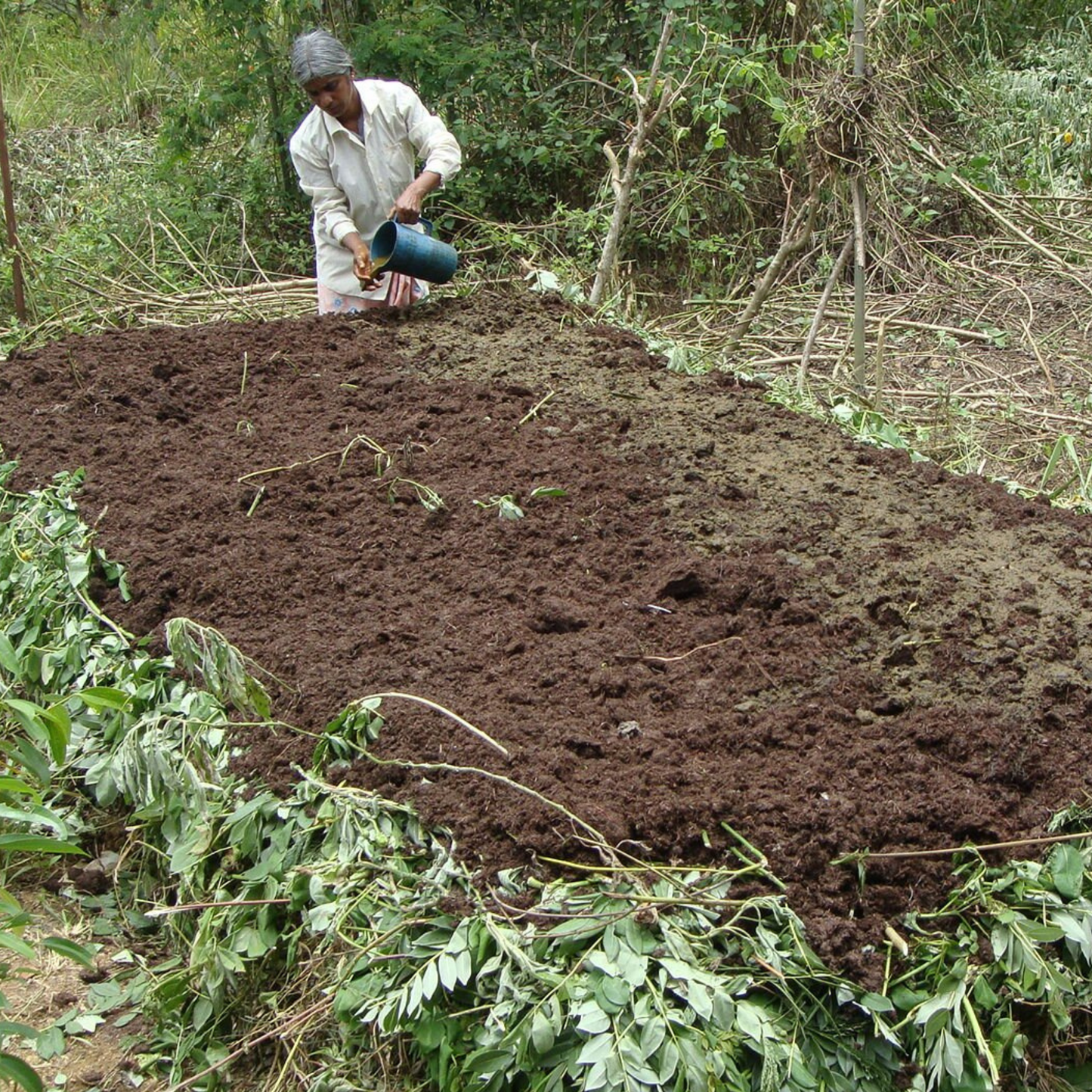 【プチギフト】有機アールグレイ紅茶（スリランカ・ウバ／2ティーバッグ）｜Amrita Zen Life