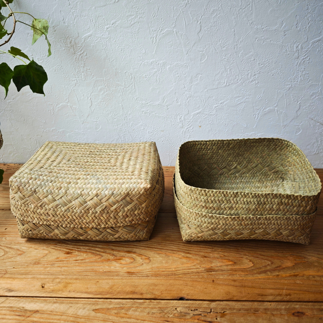 【タイ南部】クラチュー（水草）　｜熟練の職人が編んだ蓋つきかご