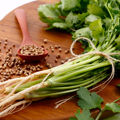 有機コリアンダーパウダー