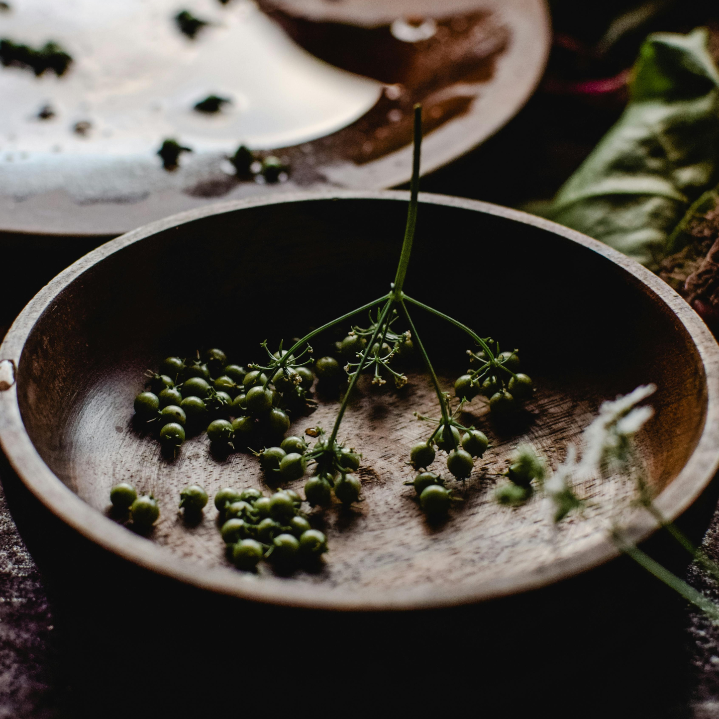 有機コリアンダーパウダー