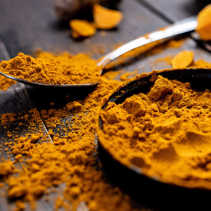 有機ターメリックパウダー