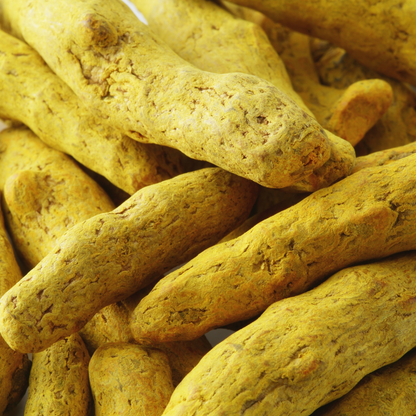 有機ターメリックパウダー