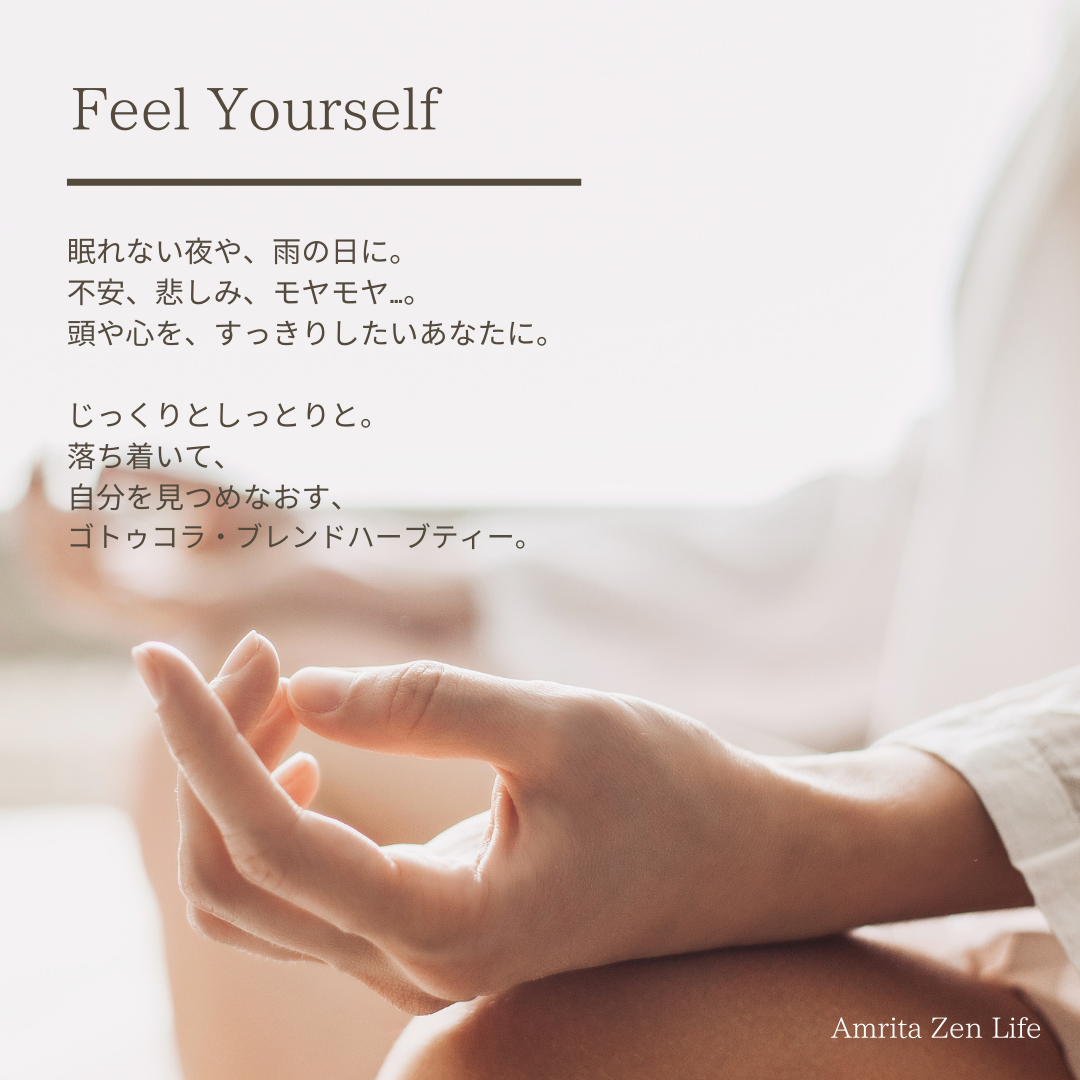 【Amrita Feel Yourself】 有機オリエンタルハーブティー（ゴトゥコラブレンド）